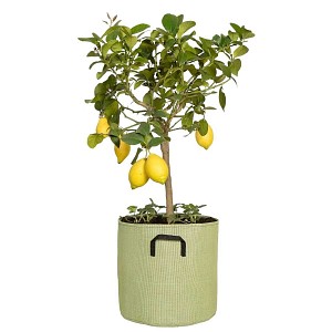 Lien vers un produit variante ou accessoire : Pot de fleur extérieur en textile recyclé 30cm - Vert