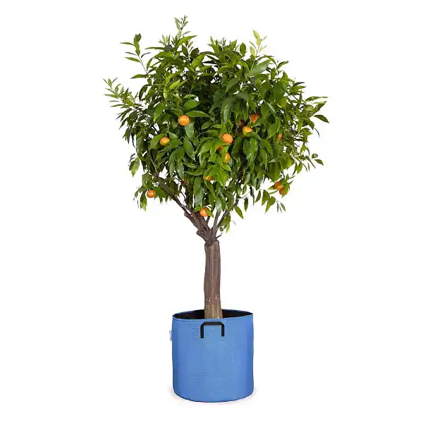 pot jardiniere 40cm bleu  pot jardiniere 40cm bleu