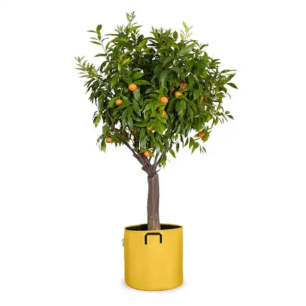 pot jardiniere 40cm jaune