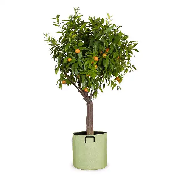 pot jardiniere 40cm vert