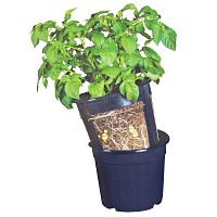 Pot de culture pour pommes de terre