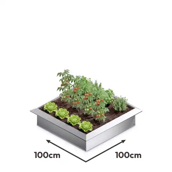 potager antilimace 100x100cm