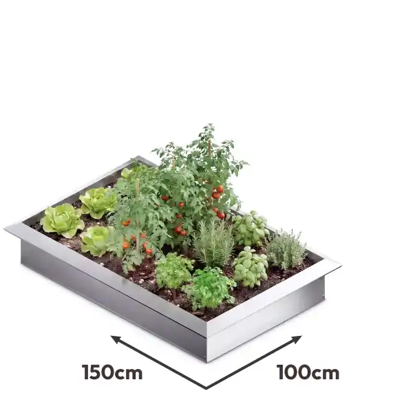 potager antilimace 100x150cm