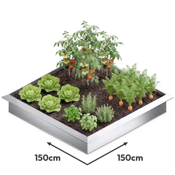 potager antilimace 150x150cm