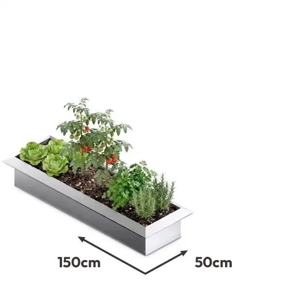 potager antilimace 150x50cm