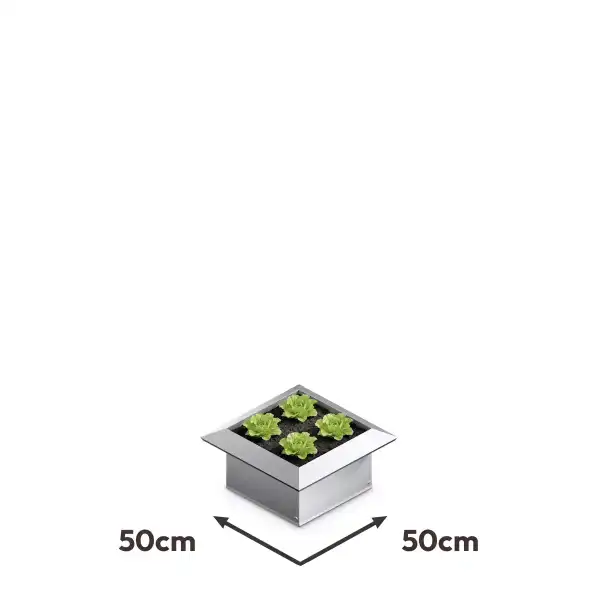 potager antilimace 50x50cm