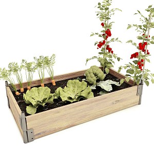 Potager bois rectangle - Epicéa, made in France