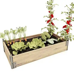 Lien vers un produit variante ou accessoire : Potager bois rectangle - Epicéa, made in France