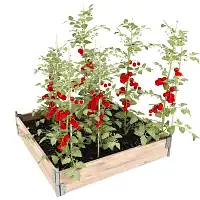 Carré potager bois - Epicéa, made in France  Carré potager bois - Epicéa, made in France