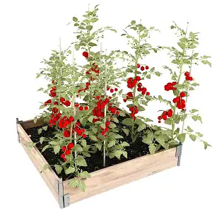 Carré potager bois - Epicéa, made in France