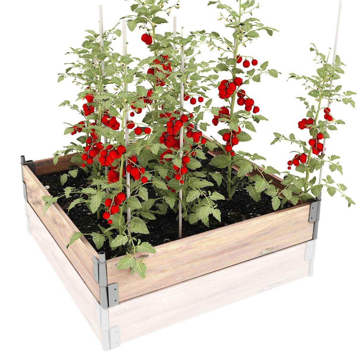 potager carre pin rehausse