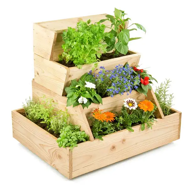 potager escalier patio 800