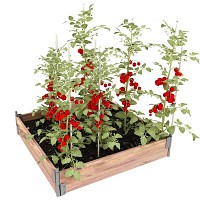 Carré potager bois 100x100cm - Pin, made in France