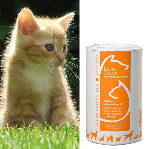 Shampoing à sec pour chats 120g