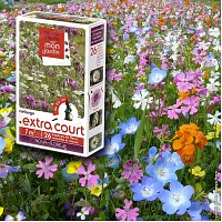 Prairie Fleurie - Fleurs mélange extra court - 7m2
