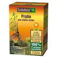 Pralin aux Argiles vertes 2.4kg Agriculture Bio