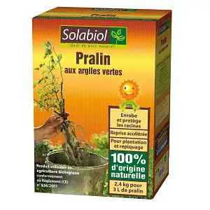 Pralin aux Argiles vertes 2.4kg Agriculture Bio