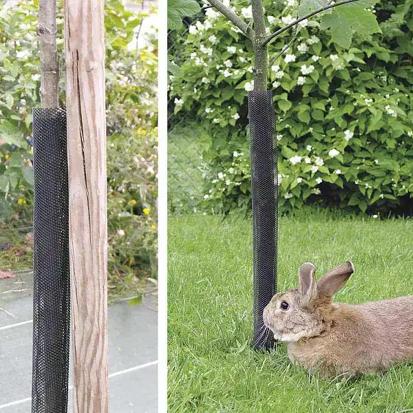 protection grillage arbre manchon