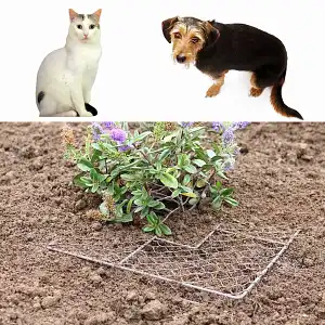 Grillage anti trou stop Chien et Chat