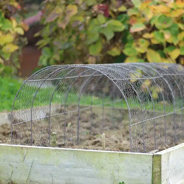 protection potager animaux oiseaux protection potager animaux oiseaux