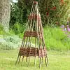 Tuteur tipi structure en noisetier - Plantes grimpantes et tomates