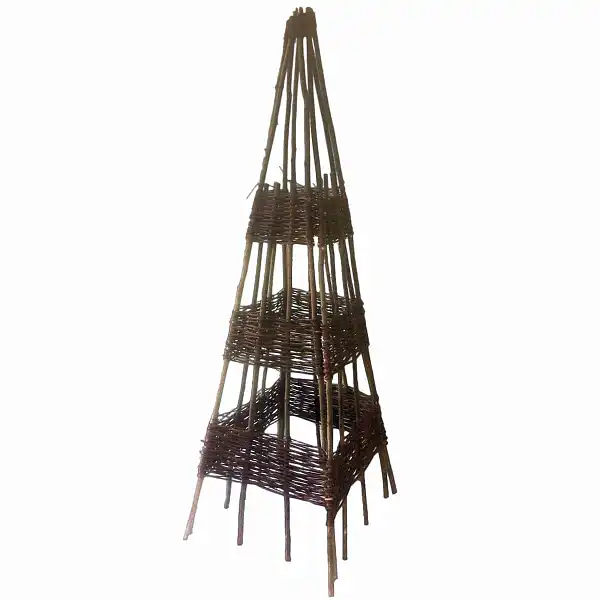 pyramide osier noisetier 150 pyramide osier noisetier 150