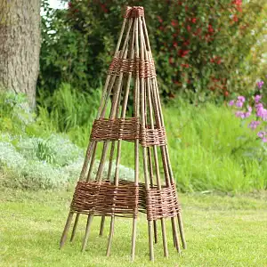 Tuteur tipi structure en noisetier - Plantes grimpantes et tomates