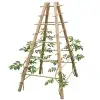 Support plante grimpante pyramide en bois FSC L.65,5 x l.65,5 x H.143,5cm
