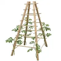 Support plante grimpante pyramide en bois FSC L.65,5 x l.65,5 x H.143,5cm