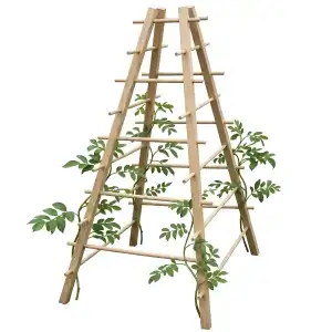 Support plante grimpante pyramide en bois FSC L.65,5 x l.65,5 x H.143,5cm