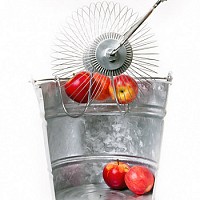 Rouleau ramasse pomme, pommes de pin