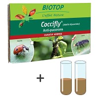 Recharge pour kit d'élevage - 50 larves Coccifly + 2 tubes de nourriture