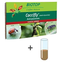 Recharge pour kit d'Ã©levage - 50 larves Coccifly + 1 tube de nourriture