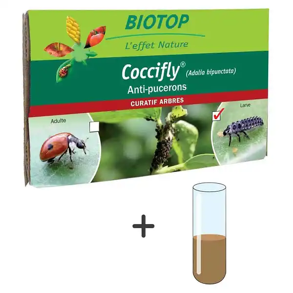 recharge kit elevage coccinelles recharge kit elevage coccinelles