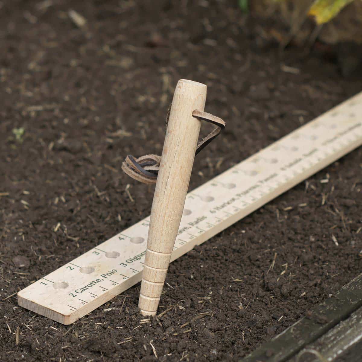 Règle de mesure et plantoir pour semis bois FSC