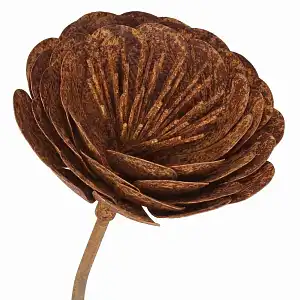 Tuteur fleur Renoncule en fer brut 18cm