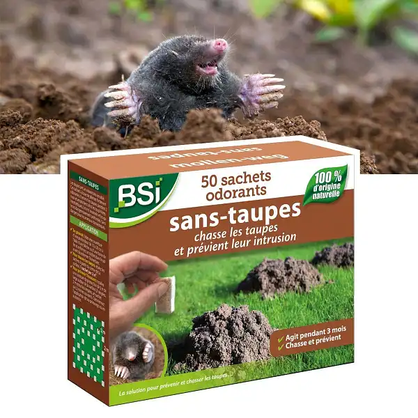 repulsif anti taupe naturel