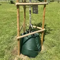 Sac d'arrosage pour arbre 52L - Lib&eacute;ration lente WaterBag