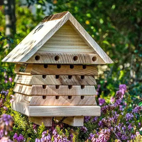ruche abeille solitaire  ruche abeille solitaire