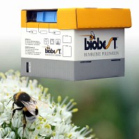 Ruche de Bourdons pollinisateurs moins de 250m2