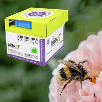 Ruche de Bourdons pollinisateurs 350 Ã 700 m2
