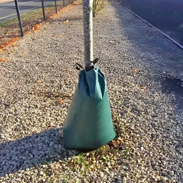 sac arrosage arbre  sac arrosage arbre