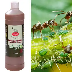 Savon noir liquide Bio 1L - Jardin et maison