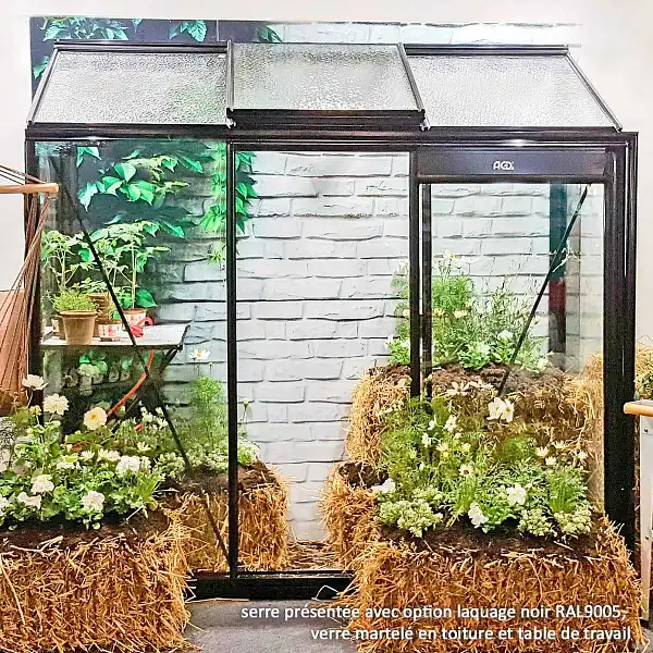 serre adossee acd miccolo  serre adossee acd miccolo