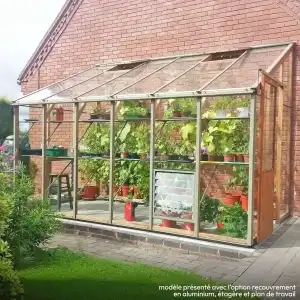 Serre de jardin en bois adossée ALTON Six-LT - Cèdre rouge 7,58m2