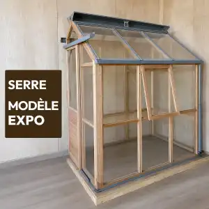 Serre de jardin adossée en bois Gabriel Ash - Modèle d'expo