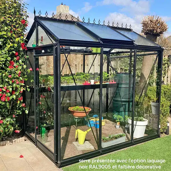 serre piccolo noir P03