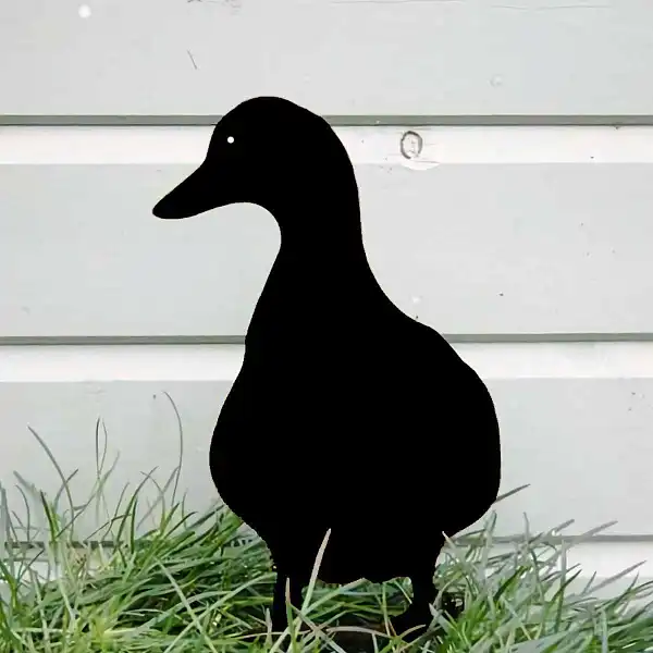 silhouette canard metal
