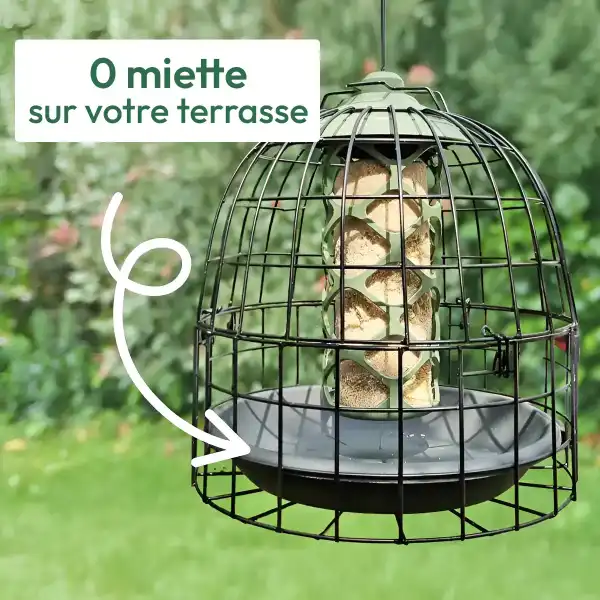 soucoupe cage anti gloutons