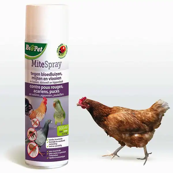 spray anti parasite poulailler
